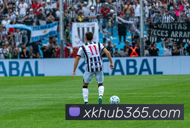 多媒体互动体验